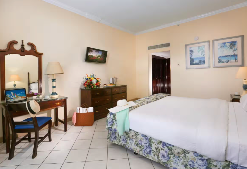 Garden View King Room